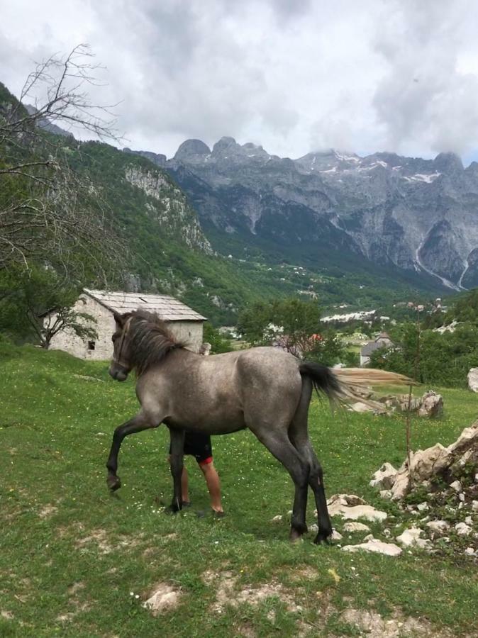 Bujtina Zici Hotel Theth Kültér fotó